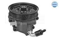 ford Servo pomp