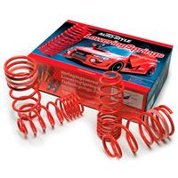 AutoStyle Verlagingsveren Seat Leon (5F) HB/SC 1.8TSi(180pk) Multilink 2012- 30/25mm