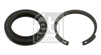 febibilstein FEBI BILSTEIN Dichtungssatz, Lenkgetriebe 44527  MERCEDES-BENZ,ACTROS MP4 / MP5,ANTOS