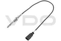 Audi Sensor, uitlaatgastemperatuur