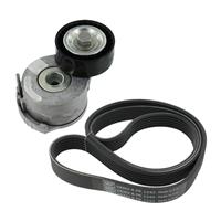 Poly V-riem set SKF, u.a. für Citroën, Toyota, Peugeot, Fiat