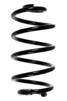Fahrwerksfeder | SPIDAN (85385)