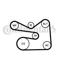 continentalctam Waterpomp + Multi V-riemset CONTINENTAL CTAM, u.a. für VW, Skoda, Audi, Seat