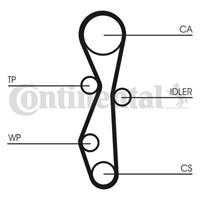 CONTITECH Wasserpumpe + Zahnriemensatz CT1142WP1 Wasserpumpe + Zahnriemenkit FORD,FIAT,PEUGEOT,MONDEO IV Turnier BA7,S-MAX WA6,GALAXY WA6