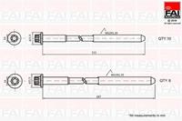 faiautoparts Zylinderkopfschraubensatz FAI Autoparts B2124