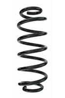 Fahrwerksfeder Hinterachse Spidan 87129