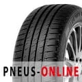 VAN-Transporter-Winterreifen Fortuna Gowin VAN 195/75 R16C 107R