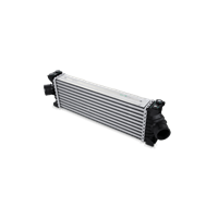 ford Intercooler inlaatluchtkoeler