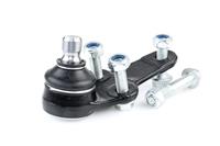 RIDEX Traggelenk 2462S0034 Achsgelenk,Führungsgelenk FORD,FOCUS Kombi DNW,FOCUS DAW, DBW,FOCUS Stufenheck DFW