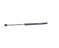magnetimarelli MAGNETI MARELLI Gasdruckfeder 430719082500 Heckklappendämpfer,Gasfeder HYUNDAI,GETZ TB