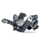 RIDEX Achsschenkel 1159S0008 Radträger,Radlagergehäuse VW,AUDI,SKODA,GOLF IV 1J1,GOLF IV Variant 1J5,NEW BEETLE 9C1, 1C1,GOLF Mk III Cabriolet 1E7