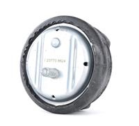 febibilstein FEBI BILSTEIN Motorsteun BMW 23770 22116756018,22116771362 Aslichaam-/motorsteunlager