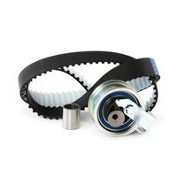 dayco Distributieriem Set VW,AUDI,FORD KTB342 038198119,038198119,038198119 Distributieriemset 038198119