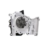 DOLZ Wasserpumpe R236  RENAULT,NISSAN,DACIA,CLIO II BB0/1/2_, CB0/1/2_,CLIO III BR0/1, CR0/1,SCÉNIC II JM0/1_,KANGOO KC0/1_,TWINGO II CN0_