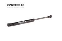 RIDEX Heckklappendämpfer hinten 219G0174 Kofferraum Dämpfer,Gasfeder Heckklappe SEAT,Cordoba Limousine (6L2)