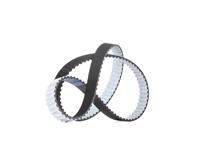dayco Distributieriem VW 941008 076109119A,076109119A