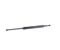 stabilus Gasveer NISSAN 016533 90450EB310,90450EB31A,90450EB31B Gasdrukveer,Gasveer, kofferruimte 90451EB310,90451EB31A,90451EB31B