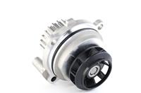 RIDEX Wasserpumpe 1260W0030  VW,AUDI,SKODA,GOLF IV 1J1,GOLF V 1K1,TOURAN 1T1, 1T2,GOLF VI 5K1,PASSAT Variant 3C5,GOLF PLUS 5M1, 521,PASSAT Variant 3B6