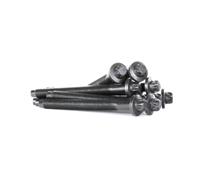 payen Cilinderkopbouten OPEL,FORD,FIAT HBS261 0204A6,9802033280,1427795 Cilinderkopbout 3M5Q6065BB,LR001222