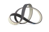 dayco Distributieriem VW,AUDI,FORD 94885 038109119L,038109119N,038109119P  038109119S,038109119N,1100672,1131812,1250636,3M216268AA,XM216268AA