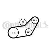 continentalctam Waterpomp + Multi V-riemset CONTINENTAL CTAM, u.a. für VW, Seat