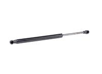 RIDEX Heckklappendämpfer beidseitig 219G0663 Kofferraum Dämpfer,Gasfeder Heckklappe BMW,1 Coupe (E82),1 Cabrio (E88)