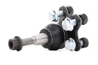 RIDEX Traggelenk unten 2462S0356 Trag- / Führungsgelenk,Achsgelenk RENAULT,LAGUNA III Grandtour (KT0/1),LAGUNA III (BT0/1),LAGUNA Coupe (DT0/1)