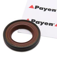 payen Nokkenas Keerring OPEL,RENAULT,NISSAN NF846 7703087192 Keerring, nokkenas