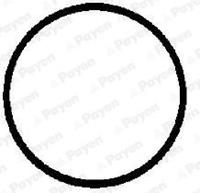 PAYEN Ansaugkrümmerdichtung BMW,LAND ROVER JD612 11612245438,2245438 Ansaugdichtung,Dichtung, Ansaugkrümmer