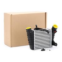 RIDEX Ladeluftkühler 468I0018 Intercooler VW,SKODA,SEAT,POLO 9N_,FOX 5Z1, 5Z3,POLO Stufenheck 9A4,FABIA Combi 6Y5,FABIA,FABIA 6Y2,FABIA Combi