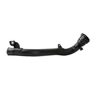 RIDEX Ladeluftschlauch 3314C0255  NISSAN,JUKE F15,NV200 EVALIA,NV200 Kasten,CUBE Z12