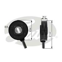 Gates Spanrol, Poly V-riem T36022
