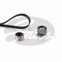 Gates Distributieriemset K025429XS