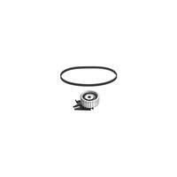 fiat Tandriemset 11087