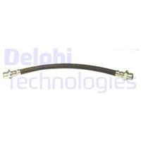 Delphi Remslang LH6493