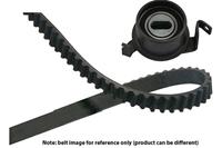 Kavo parts Distributieriemset DKT5519