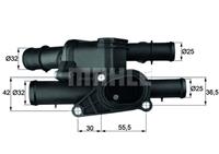 Mahle Thermostaat, koelvloeistof TM1105