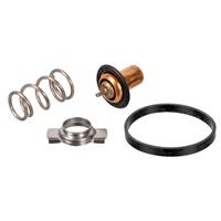 febibilstein FEBI BILSTEIN Thermostat FIAT 173111 55242072,55242072SK,71752884 Kühlwasserthermostat,Kühlwasserregler,Temperaturregler,Thermostat, Kühlmittel