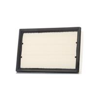 CHAMPION Luftfilter CAF100867P  LAND ROVER,FREELANDER 2 FA_