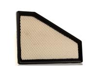 RIDEX Luftfilter CHRYSLER 8A0290 04891462AB,04891462AC,4891462AB Motorluftfilter,Filter für Luft 4891462AC