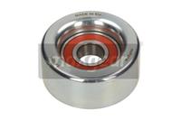 hyundai Spanrol, Poly V-riem 541266