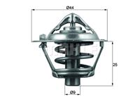 Thermostat, Kühlmittel Behr TX 113 88D