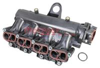 Metzger Zuigbuismodule 2100067