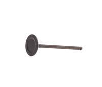 RIDEX Einlaßventil 1269I0043  HYUNDAI,KIA,ix35 LM, EL, ELH,i30 FD,i20 PB, PBT,i30 CW FD,i40 CW VF,i30 GD,ix20 JC,i30 CW GD,i30 Coupe,VELOSTER FS