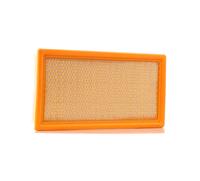 Luftfilter Ashika 20-00-001