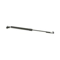 RIDEX Heckklappendämpfer TOYOTA 219G0606 6895005925,6895009120,6895059025 6895059065,6895059066