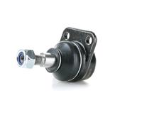 RIDEX Traggelenk BMW 2462S0443 31121103834,31121106439,31131103834 31131108439,31121106439