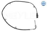 opel Sensor, uitlaatgastemperatuur