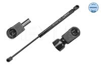 Gasfeder, Koffer-/Laderaum Meyle 16-40 910 0019