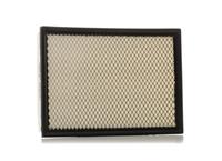 RIDEX Luftfilter Filtereinsatz 8A0558 Motorluftfilter,Filter für Luft CHRYSLER,DODGE,300 C Touring (LX, LE),300 C Limousine (LX, LE),CHALLENGER Coupe